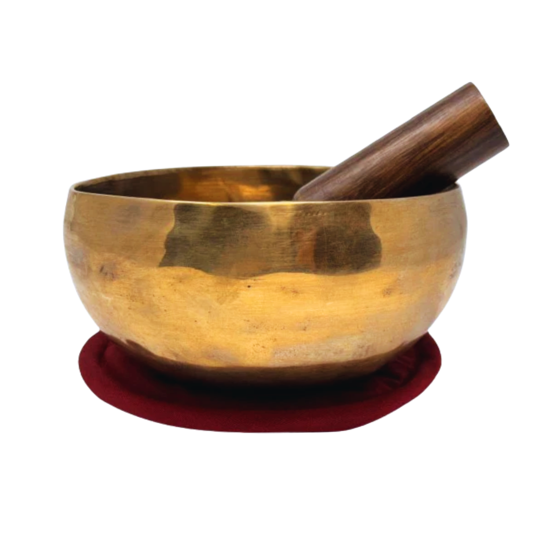 Body Bowl for the Gut (E Note)