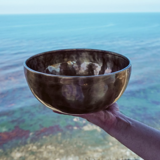 Body Bowl for the Gut (E Note)