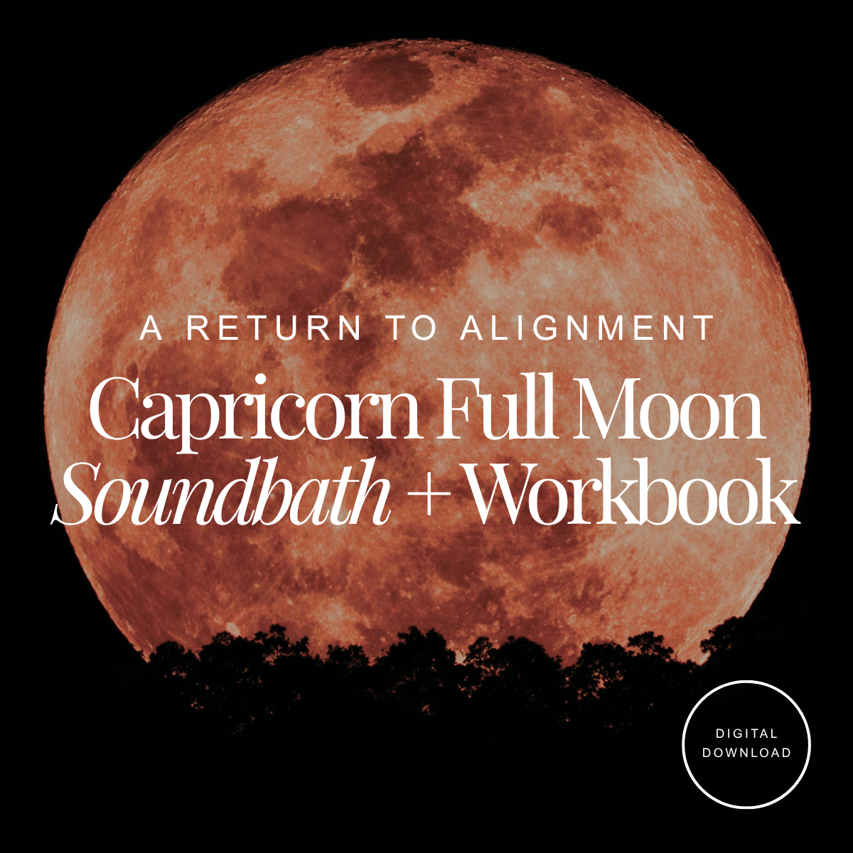 Capricorn Strawberry Full Moon: Soundbath + Workbook