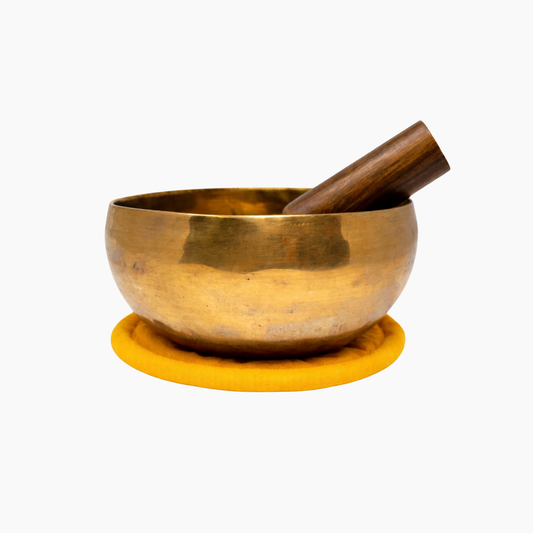 Body Bowl for the Gut (E Note)